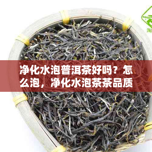 净化水泡普洱茶好吗？怎么泡，净化水泡茶茶品质如何？