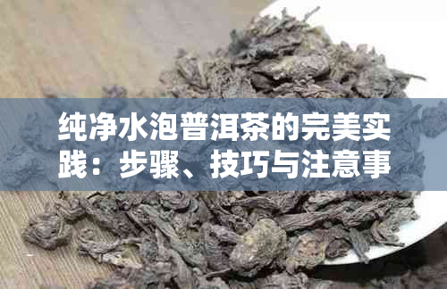 纯净水泡普洱茶的完美实践：步骤、技巧与注意事项