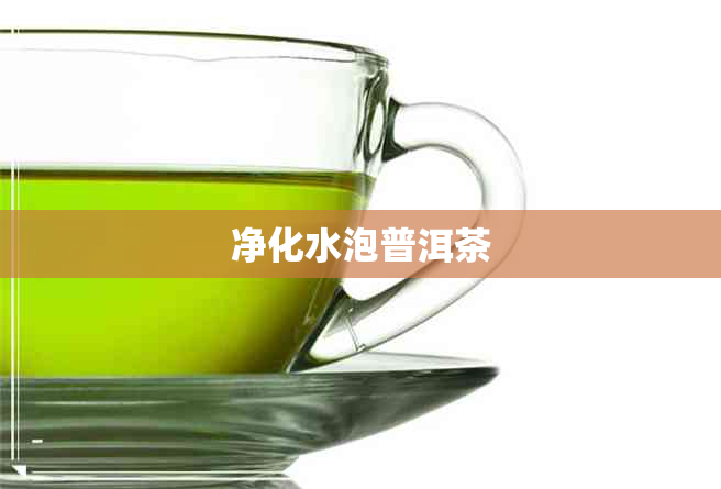 净化水泡普洱茶