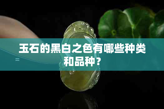 玉石的黑白之色有哪些种类和品种？