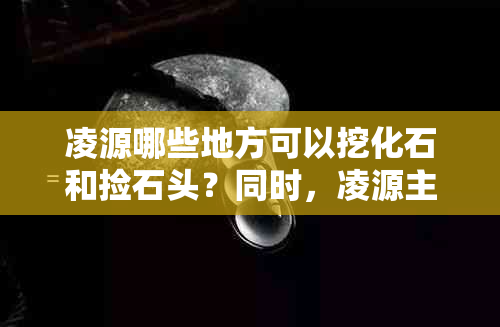 凌源哪些地方可以挖化石和捡石头？同时，凌源主要产什么类型的石头？