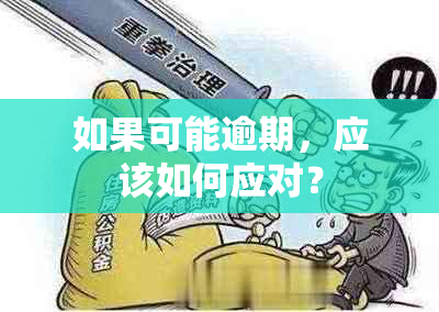 如果可能逾期，应该如何应对？