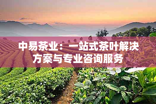 中易茶业：一站式茶叶解决方案与专业咨询服务