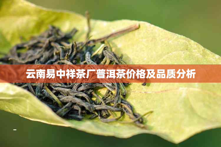 云南易中祥茶厂普洱茶价格及品质分析