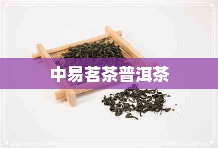 中易茗茶普洱茶