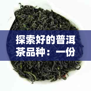 探索好的普洱茶品种：一份全面列表与深度剖析