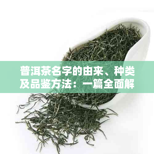 普洱茶名字的由来、种类及品鉴方法：一篇全面解析普洱茶知识的文章