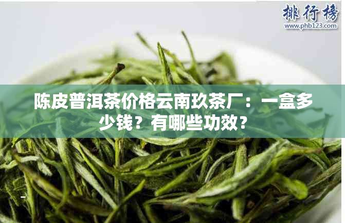 陈皮普洱茶价格云南玖茶厂：一盒多少钱？有哪些功效？