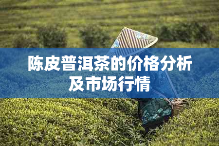 陈皮普洱茶的价格分析及市场行情