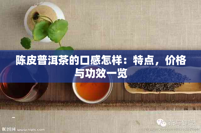 陈皮普洱茶的口感怎样：特点，价格与功效一览