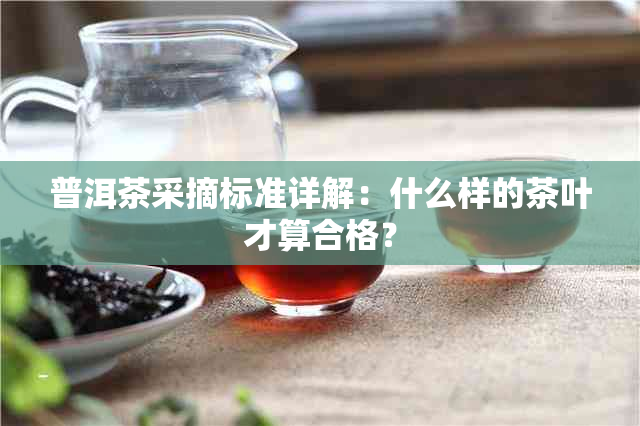 普洱茶采摘标准详解：什么样的茶叶才算合格？