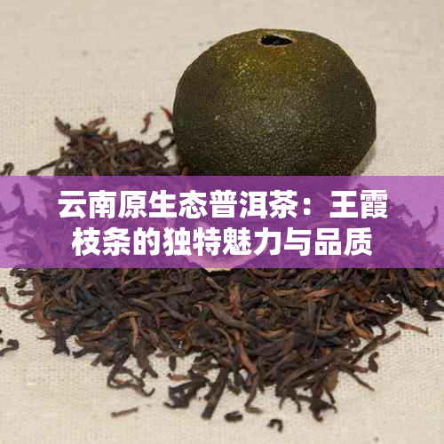 云南原生态普洱茶：王霞枝条的独特魅力与品质