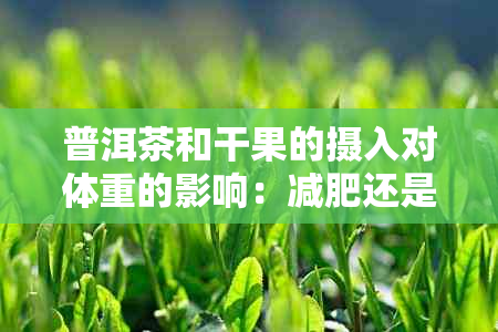 普洱茶和干果的摄入对体重的影响：减肥还是增重？