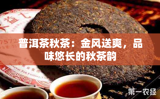 普洱茶秋茶：金风送爽，品味悠长的秋茶韵