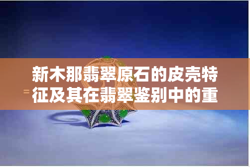 新木那翡翠原石的皮壳特征及其在翡翠鉴别中的重要性