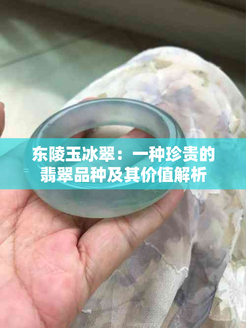 东陵玉冰翠：一种珍贵的翡翠品种及其价值解析