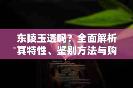 东陵玉透吗？全面解析其特性、鉴别方法与购买建议