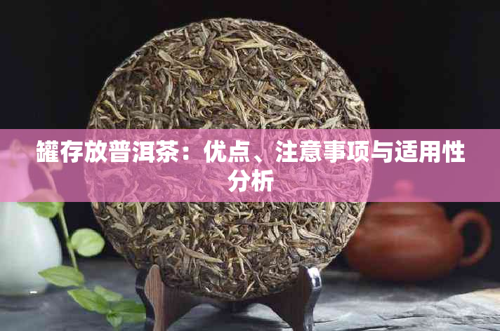 罐存放普洱茶：优点、注意事项与适用性分析