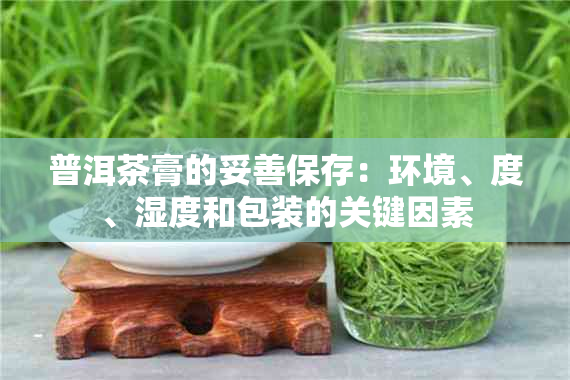 普洱茶膏的妥善保存：环境、度、湿度和包装的关键因素