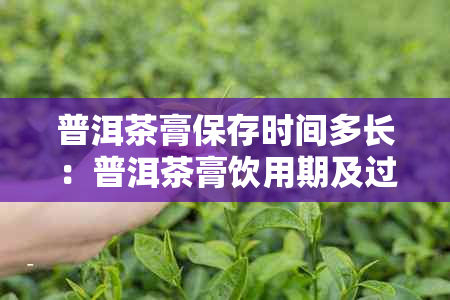 普洱茶膏保存时间多长：普洱茶膏饮用期及过期判断。