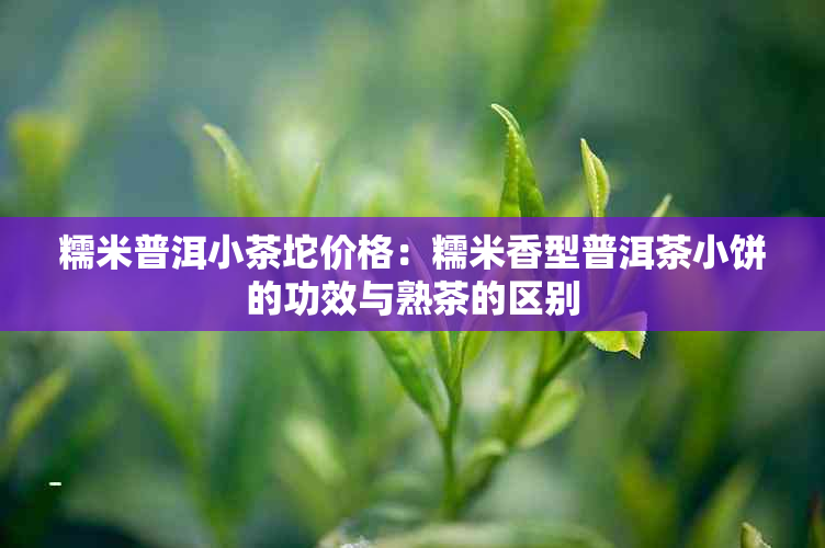 糯米普洱小茶坨价格：糯米香型普洱茶小饼的功效与熟茶的区别