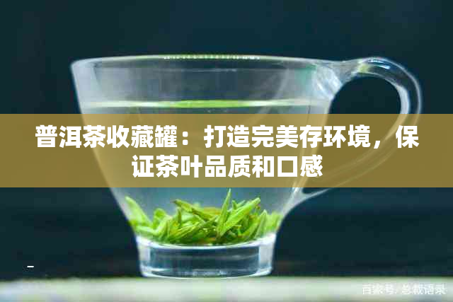 普洱茶收藏罐：打造完美存环境，保证茶叶品质和口感