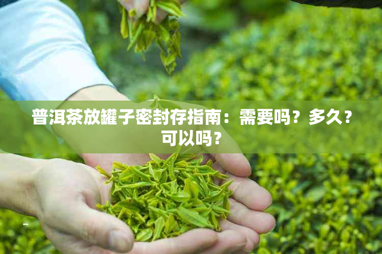 普洱茶放罐子密封存指南：需要吗？多久？可以吗？