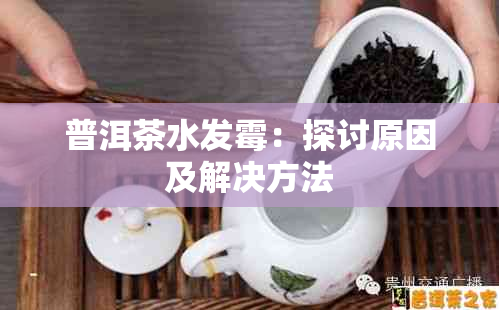 普洱茶水发霉：探讨原因及解决方法