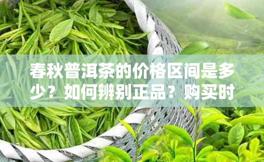 春秋普洱茶的价格区间是多少？如何辨别正品？购买时应注意哪些因素？