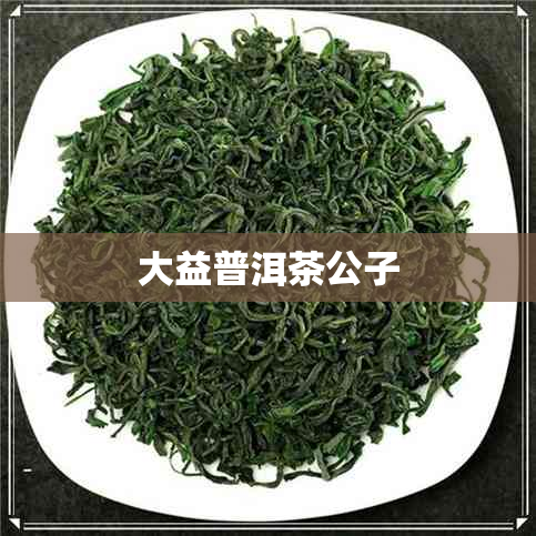 大益普洱茶公子