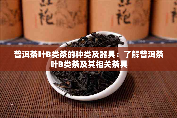 普洱茶叶B类茶的种类及器具：了解普洱茶叶B类茶及其相关茶具