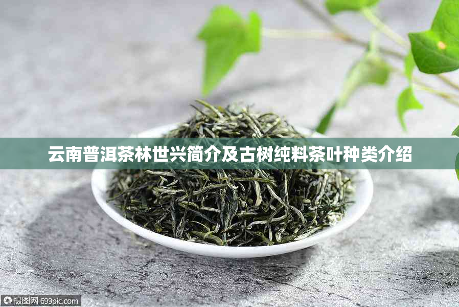 云南普洱茶林世兴简介及古树纯料茶叶种类介绍