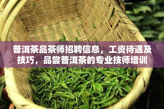 普洱茶品茶师招聘信息，工资待遇及技巧，品尝普洱茶的专业 *** 培训