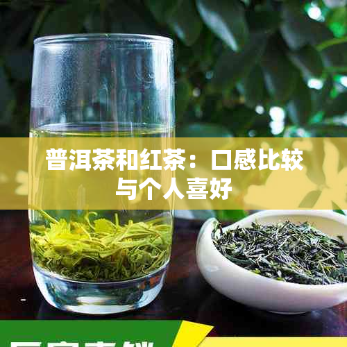 普洱茶和红茶：口感比较与个人喜好