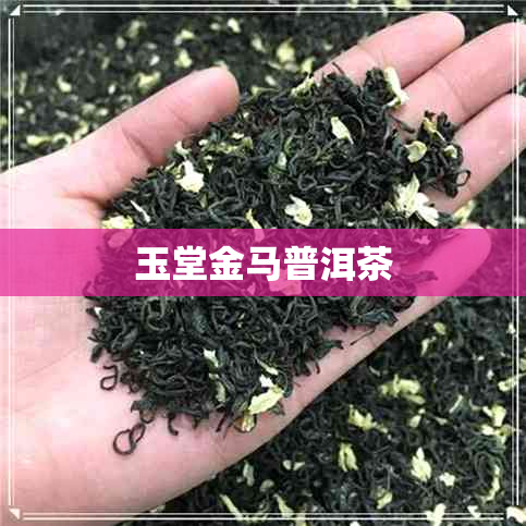 玉堂金马普洱茶