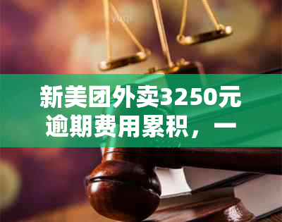 新美团外卖3250元逾期费用累积，一个月后还款总额分析