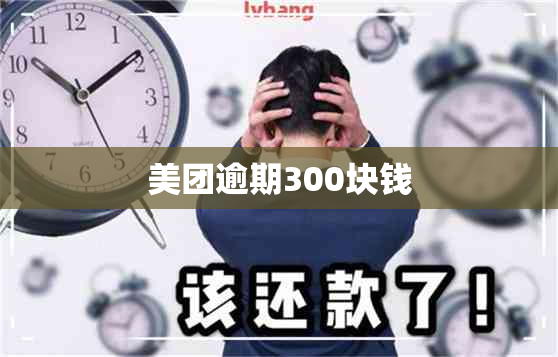 美团逾期300块钱