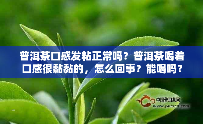 普洱茶口感发粘正常吗？普洱茶喝着口感很黏黏的，怎么回事？能喝吗？