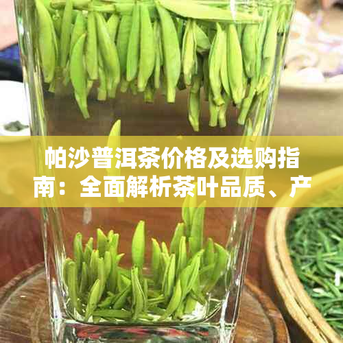 帕沙普洱茶价格及选购指南：全面解析茶叶品质、产地、泡法等重要因素