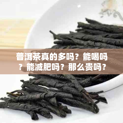 普洱茶真的多吗？能喝吗？能减肥吗？那么贵吗？