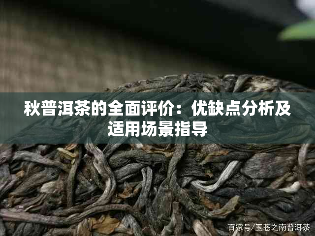 秋普洱茶的全面评价：优缺点分析及适用场景指导