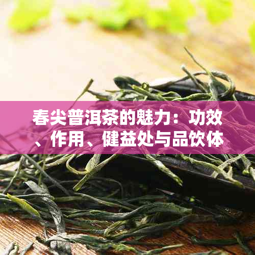 春尖普洱茶的魅力：功效、作用、健益处与品饮体验