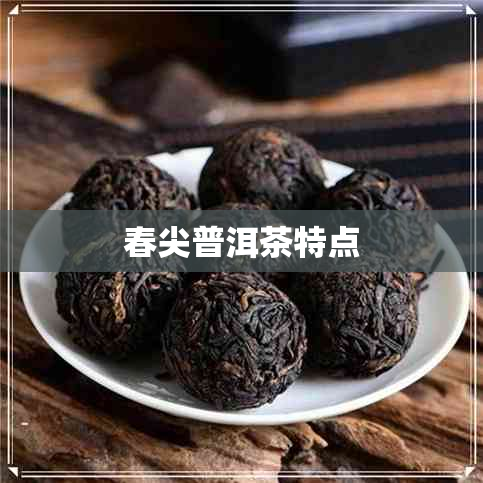 春尖普洱茶特点