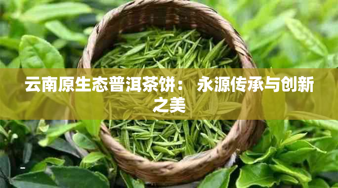 云南原生态普洱茶饼： 永源传承与创新之美