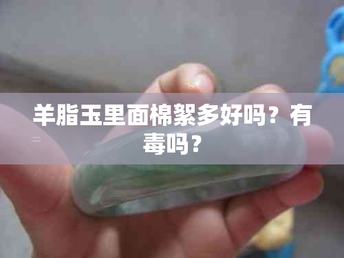 羊脂玉里面棉絮多好吗？有吗？