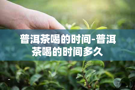 普洱茶喝的时间-普洱茶喝的时间多久