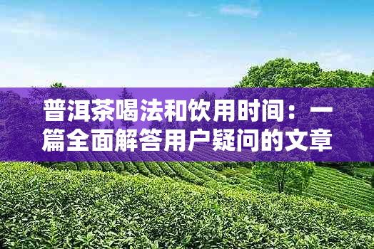 普洱茶喝法和饮用时间：一篇全面解答用户疑问的文章