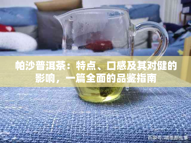 帕沙普洱茶：特点、口感及其对健的影响，一篇全面的品鉴指南