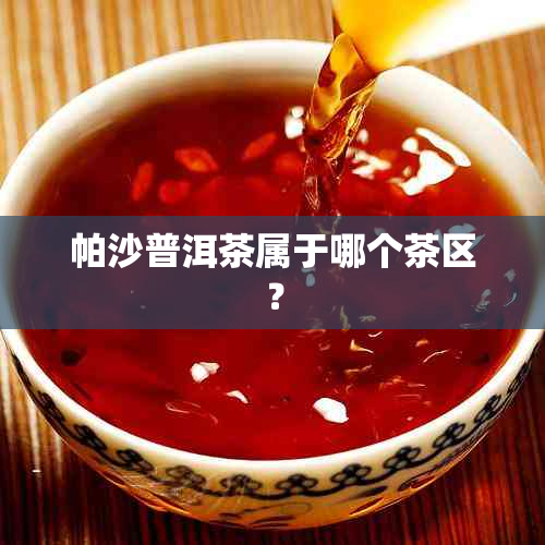 帕沙普洱茶属于哪个茶区？