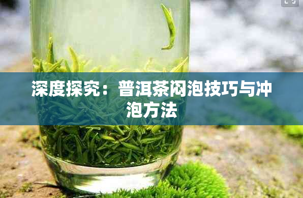 深度探究：普洱茶闷泡技巧与冲泡方法